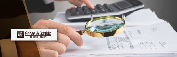 FUNCIONES DEL REVISOR FISCAL